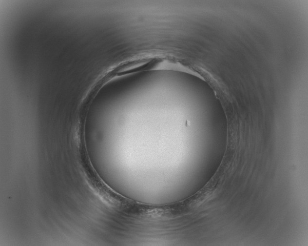 X0000073870064200609071710