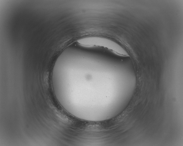 X0000073870066200609071710