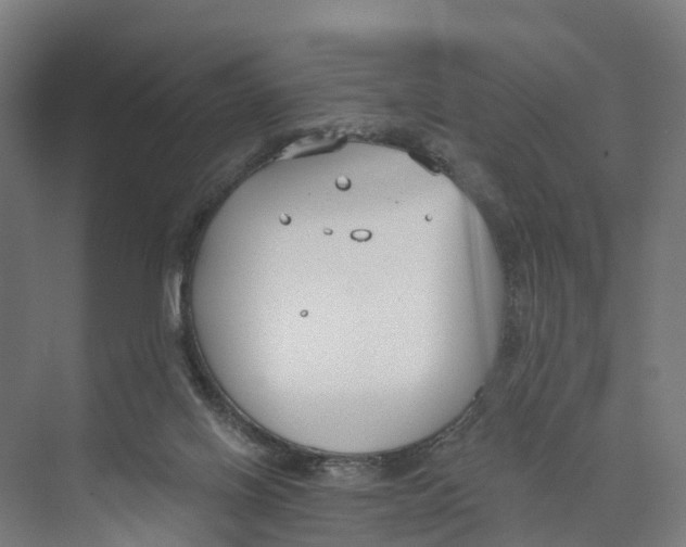 X0000073870070200609071710