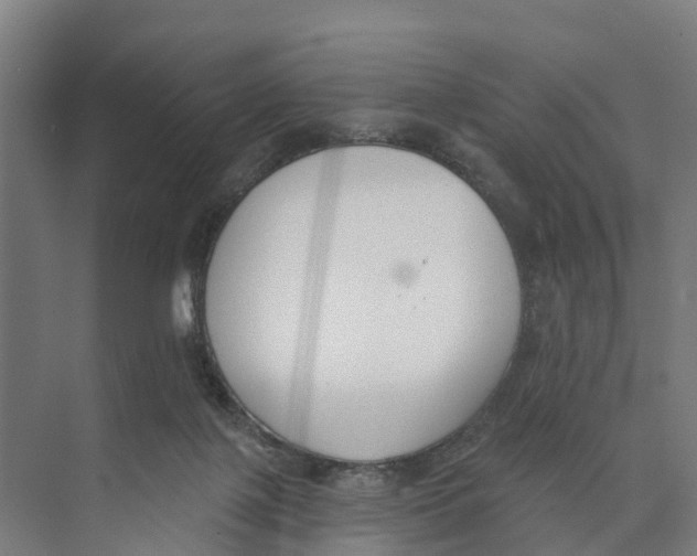 X0000073870075200609071710