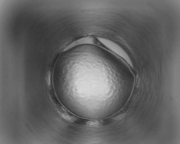 X0000073870076200609071710