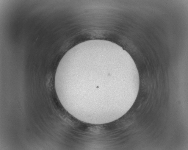 X0000073870079200609071710