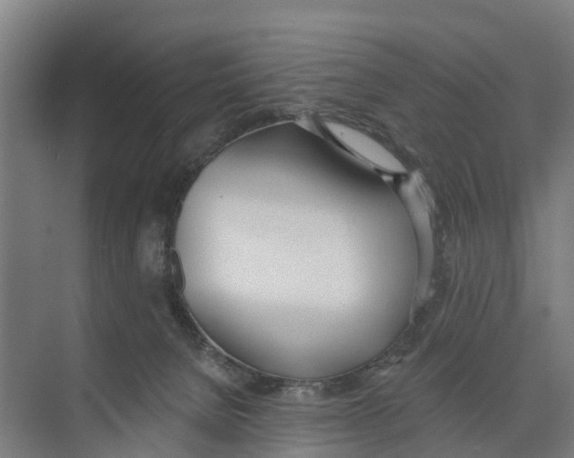 X0000073870080200609071710