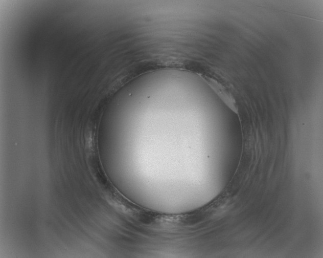 X0000073870084200609071710