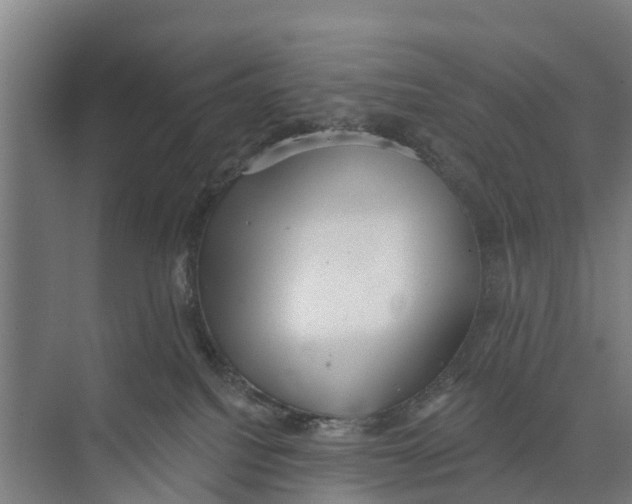 X0000073870088200609071710