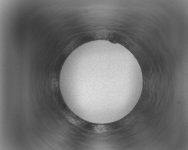 X0000073870091200609071710