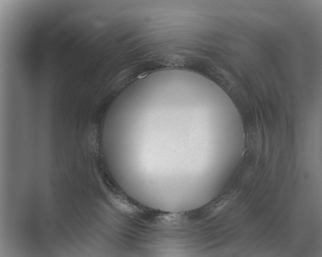 X0000073870092200609071710