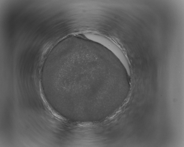 X0000073870097200609071709