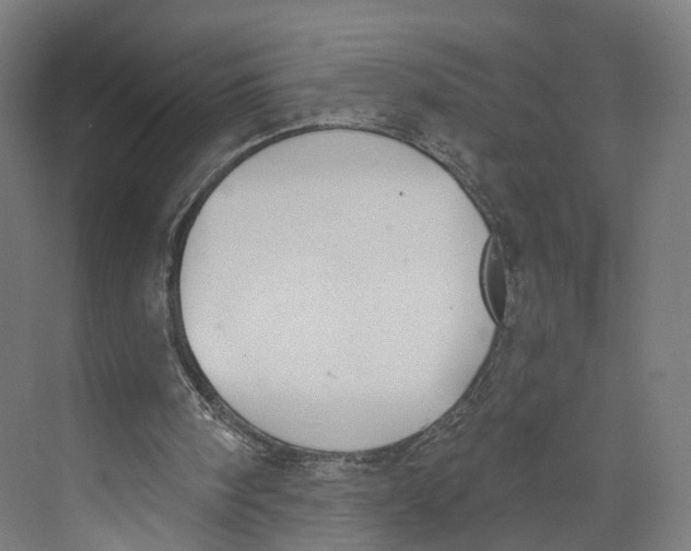 X0000073870098200609071709