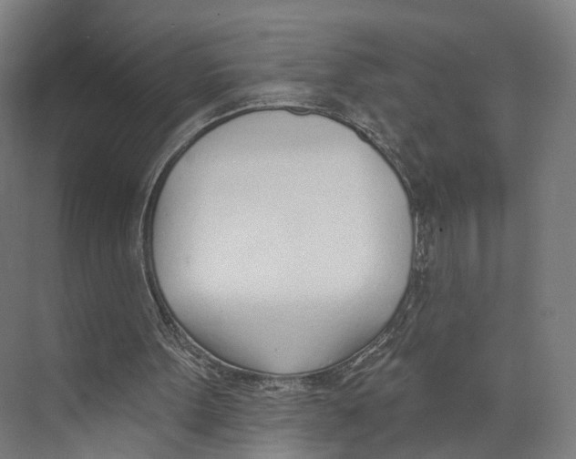 X0000073870099200609071709