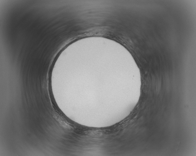 X0000073870100200609071709