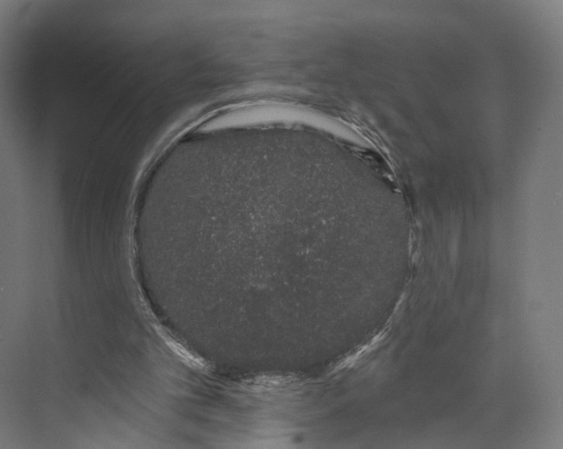 X0000073870101200609071709