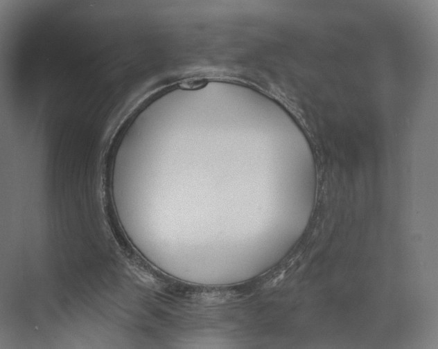 X0000073870103200609071709