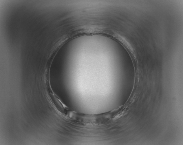 X0000073870105200609071709