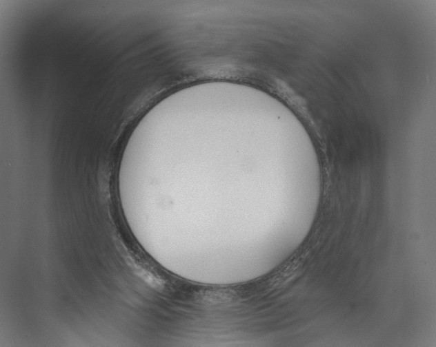 X0000073870106200609071709