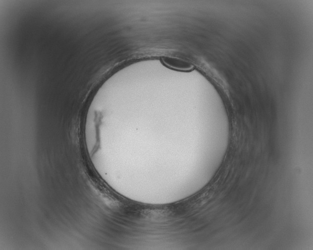 X0000073870107200609071709