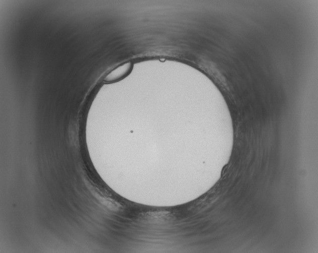 X0000073870108200609071709