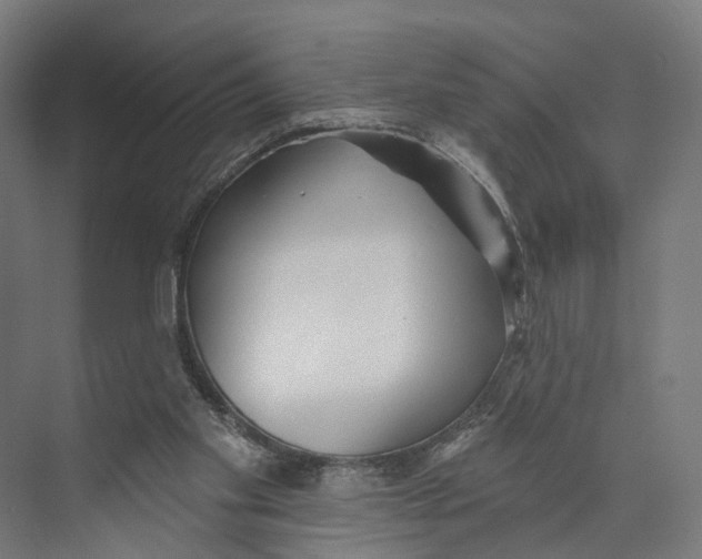 X0000073870109200609071709