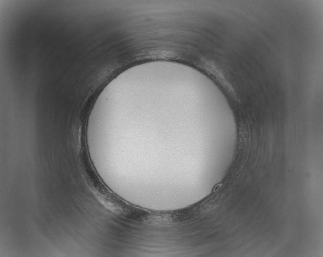 X0000073870110200609071709