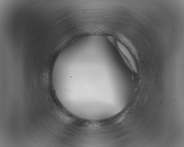 X0000073870113200609071709