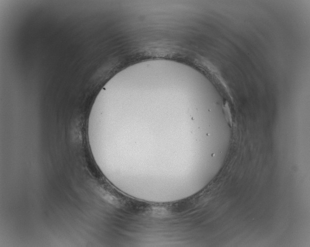 X0000073870114200609071709