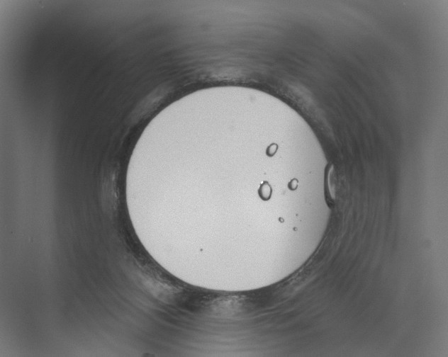 X0000073870116200609071709