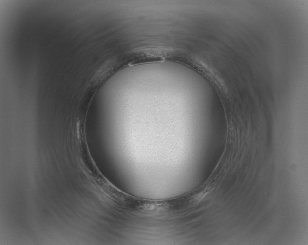 X0000073870117200609071709