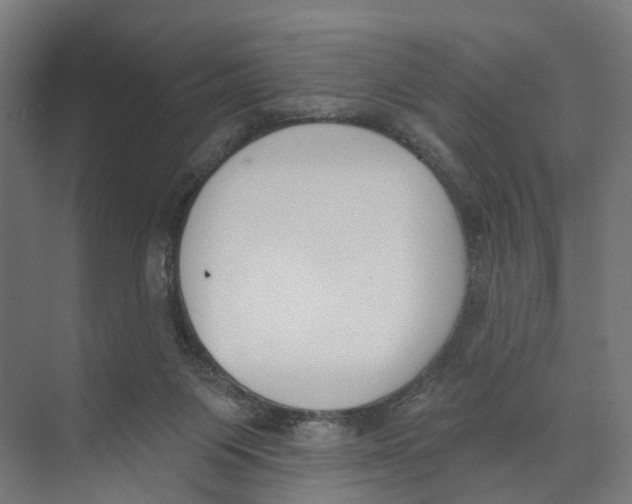 X0000073870119200609071709