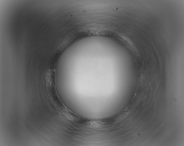 X0000073870121200609071709