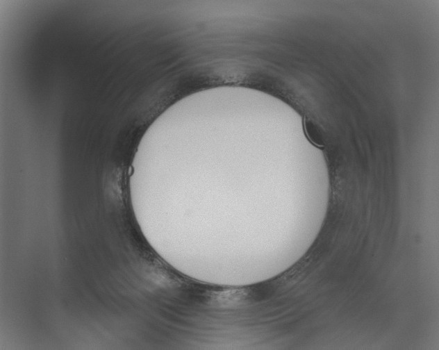 X0000073870122200609071709