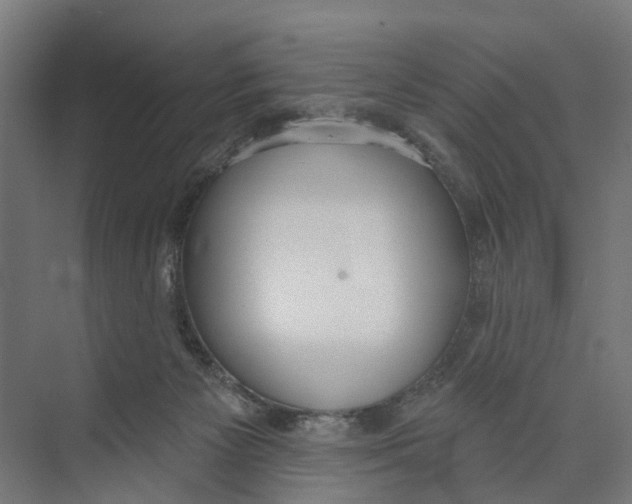 X0000073870125200609071709