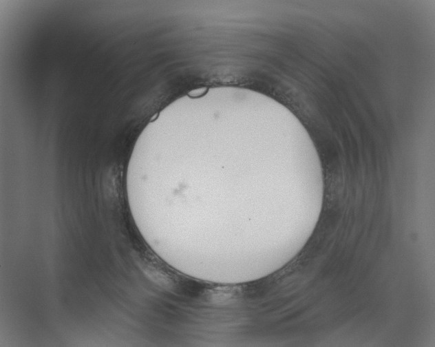 X0000073870126200609071709