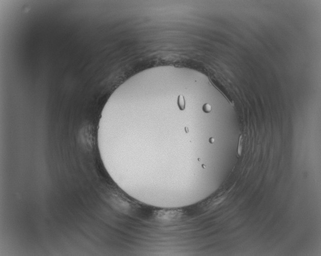 X0000073870135200609071709