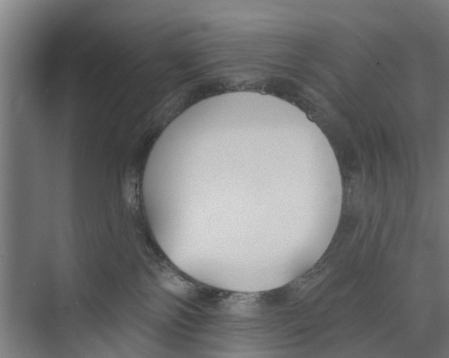 X0000073870138200609071709