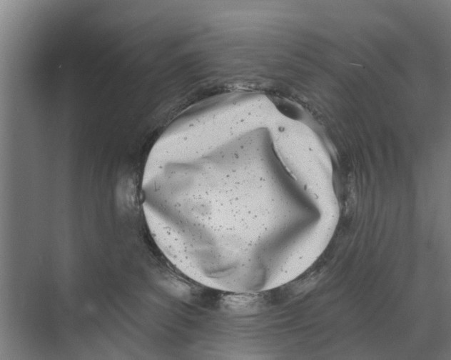 X0000073870139200609071709