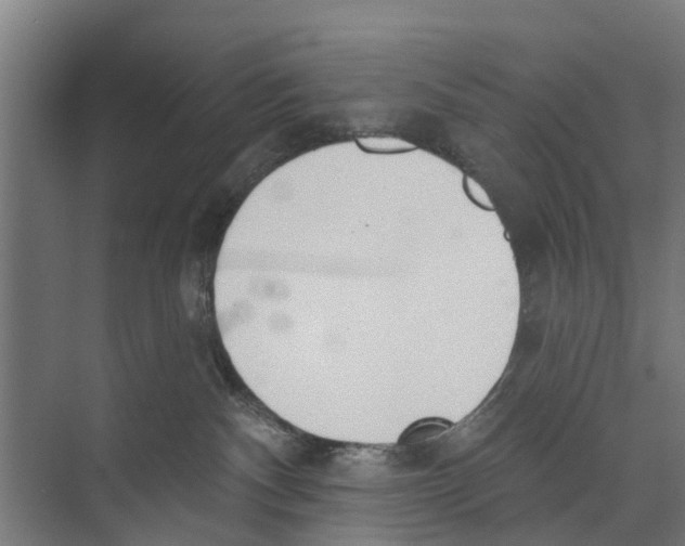 X0000073870140200609071709