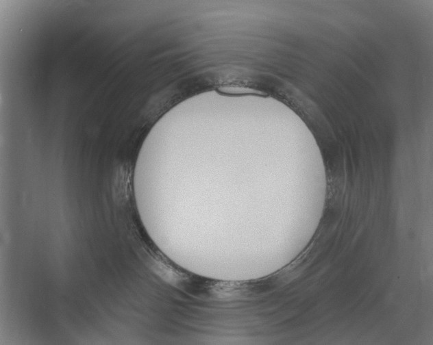 X0000073870142200609071709