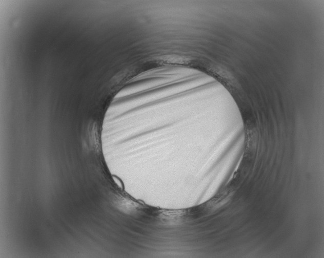 X0000073870143200609071709