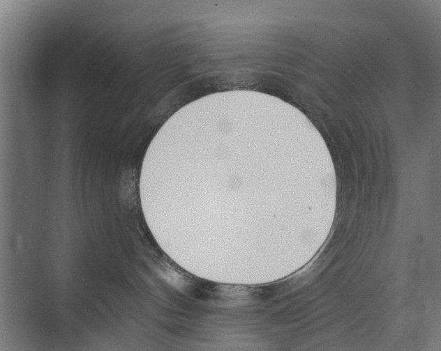 X0000073870144200609071709