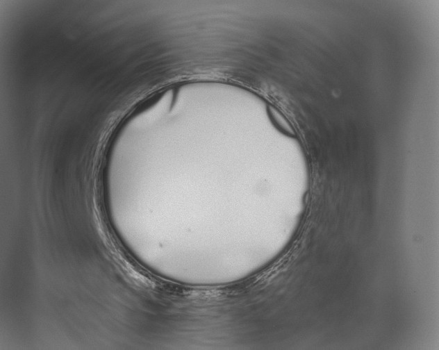 X0000073870145200609071708