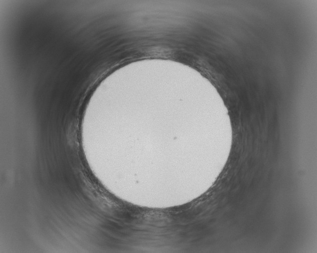 X0000073870146200609071708