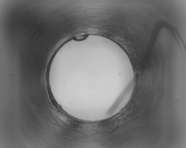 X0000073870147200609071708