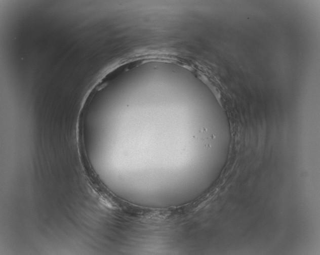 X0000073870148200609071708