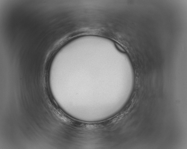 X0000073870149200609071708