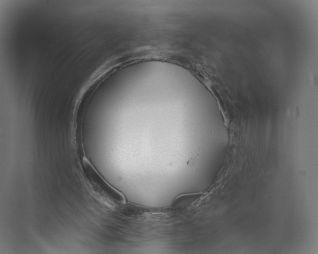 X0000073870150200609071708