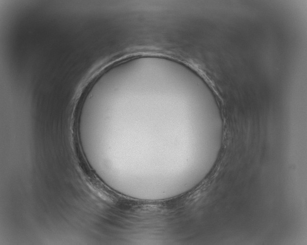 X0000073870151200609071708