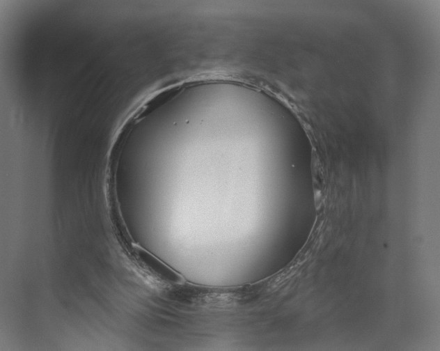 X0000073870152200609071708