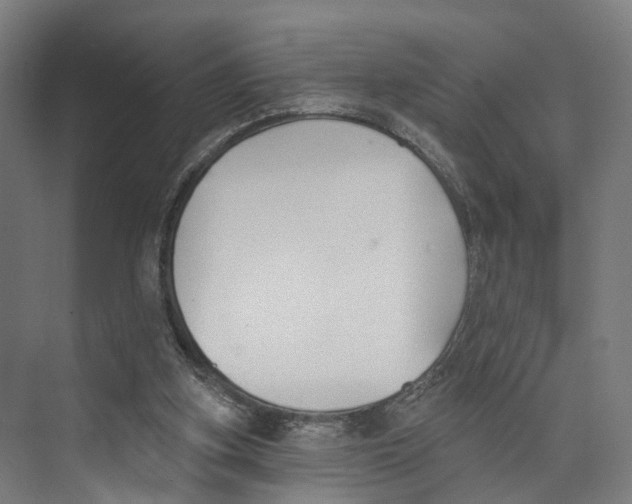 X0000073870155200609071708