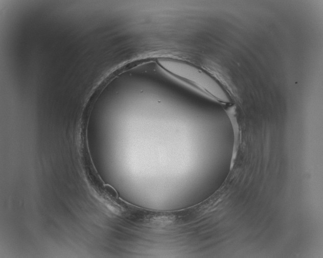 X0000073870156200609071708