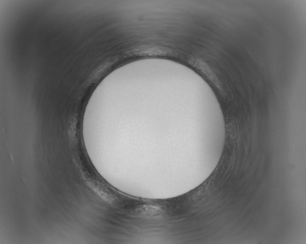 X0000073870159200609071708